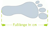 Fu&szlig;l&auml;nge